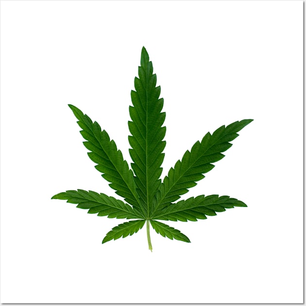 cannabis leaf Wall Art by STARSsoft